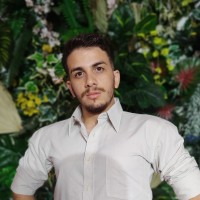 Gabriel Alves De Moura