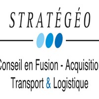 STRATEGEO CONSEIL EN FUSION ET ACQUISITION