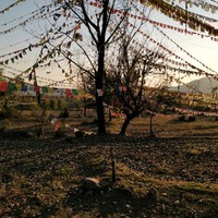 Aarya Kumar