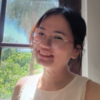 Nhi Hong