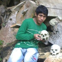 sago peace sagomaniak