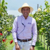 Carlos Flores Torres