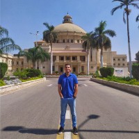Mohamed Kamel