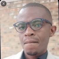 Sandile Majozi