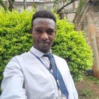 Feyiso Elemo