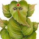 Poonam Jakhar Poonia