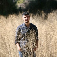 Barak Bashari