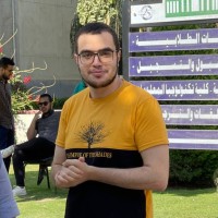 Mohamed Elshishtawy 🇵🇸