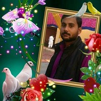 Shahzad Mughal