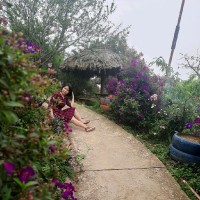 le thuy
