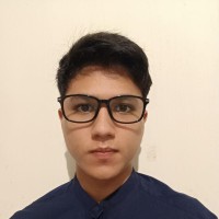 Leonardo Maisa