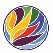 Vision Aviation Global