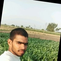 Hareesh Kumar Kumar