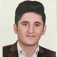Morteza Rajabi
