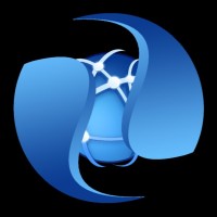 Web Avex Digital Marketing Agency