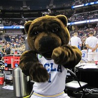 Joe Bruin