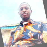 Stephen Ogundeji