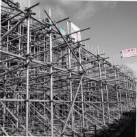 Lenny TunnyScaffolding