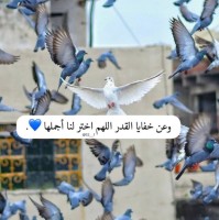 ندى عبدالله الدوسري