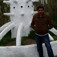 Del Vecchio Oliveira