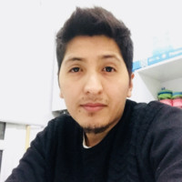 Emanuel Alejandro Yurquina