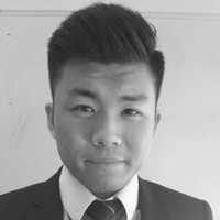 Hong Ngai