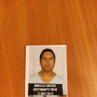 Marcelo Bustamante Tapia