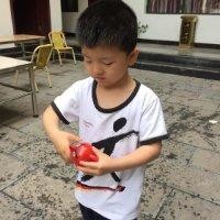 李盼盼