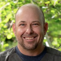 Laning Andrews, M.D.