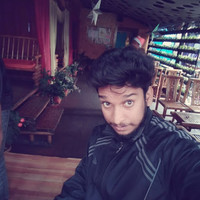 Dinesh P