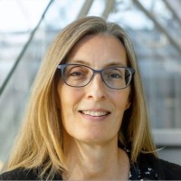 Hilde Strand