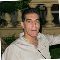 adel el feky