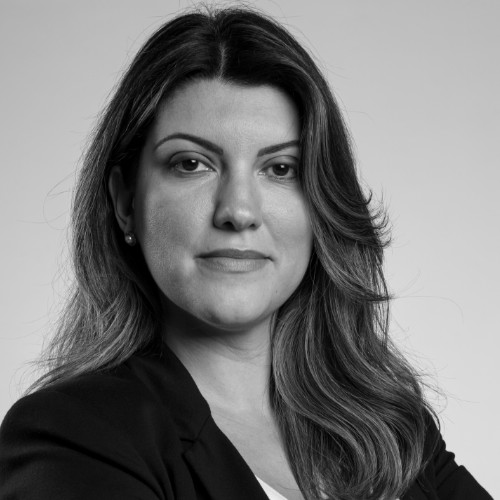Ana Flavia P. Vizzotto