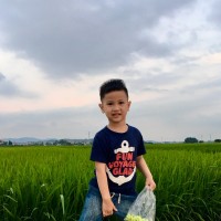 Hà Nguyễn