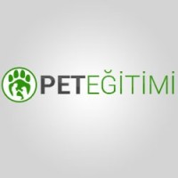 Pet Egitimi