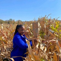 Tanyaradzwa Tenesi