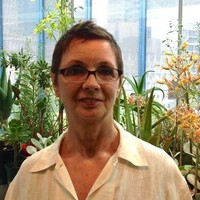 Kim Svoboda