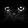 Dmitry J