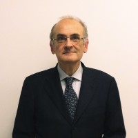 Marco Salmini