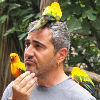 Puça Janer i Boada