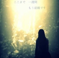 張雅雯