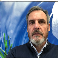 Sergio Gronchi