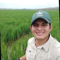 Sergio Andres Cordova Baño