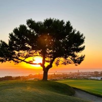 Carlos Alberto Pimentel