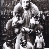 Jane Offler