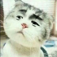 罗金峰