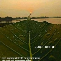Ajay Wadaskar