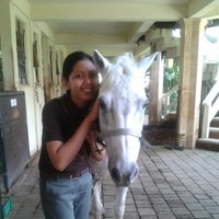 wayan arini