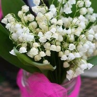 Наталья Витковская