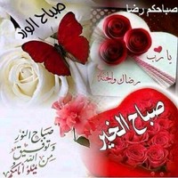 Adnan Barbra Adv
